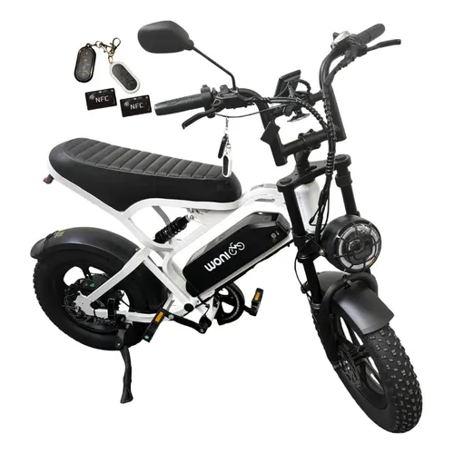 E-Bike Y16 1000W